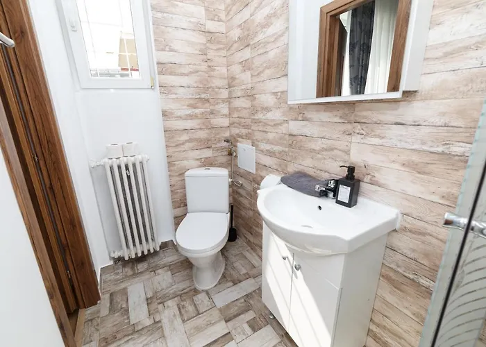 Street Doamnei Rooftop Terrace 公寓